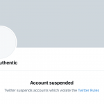 Twitter accounts critical of RSE are suspended