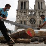 Carpenters wow public with medieval techniques at Notre Dame