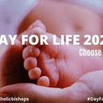 Church in Ireland to Mark ‘Day for Life’ on Sunday, Oct. 4 – ZENIT – English