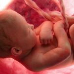 Colorado Poised to Ban Late-Term Abortion