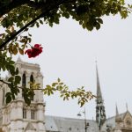 France to review Covid-19 restrictions on churches