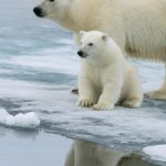 Elites use fraudulent global warming documentary to advance ‘great reset’ agenda