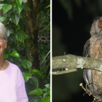 New species of owl named for American sister assassinated while fighting for the Amazon