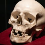 Skull sculpted by Bernini and owned by a pope discovered